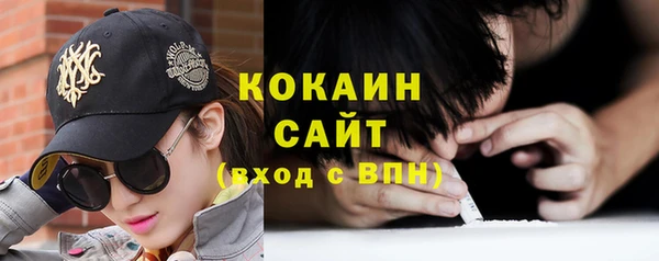 сатива Сафоново