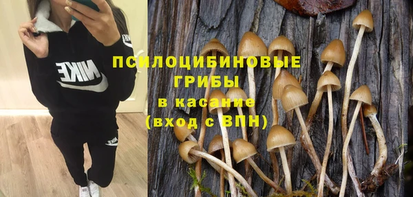 прущая мука Сатка