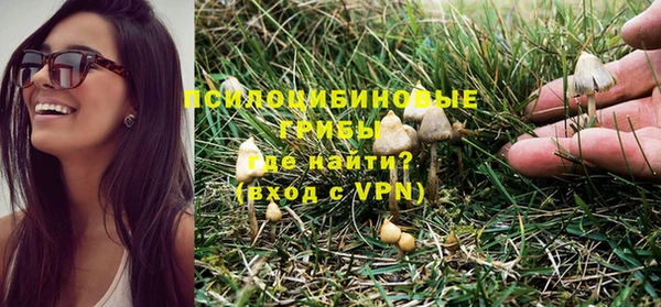 сатива Сафоново