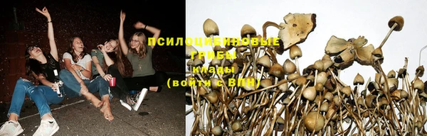 прущая мука Сатка
